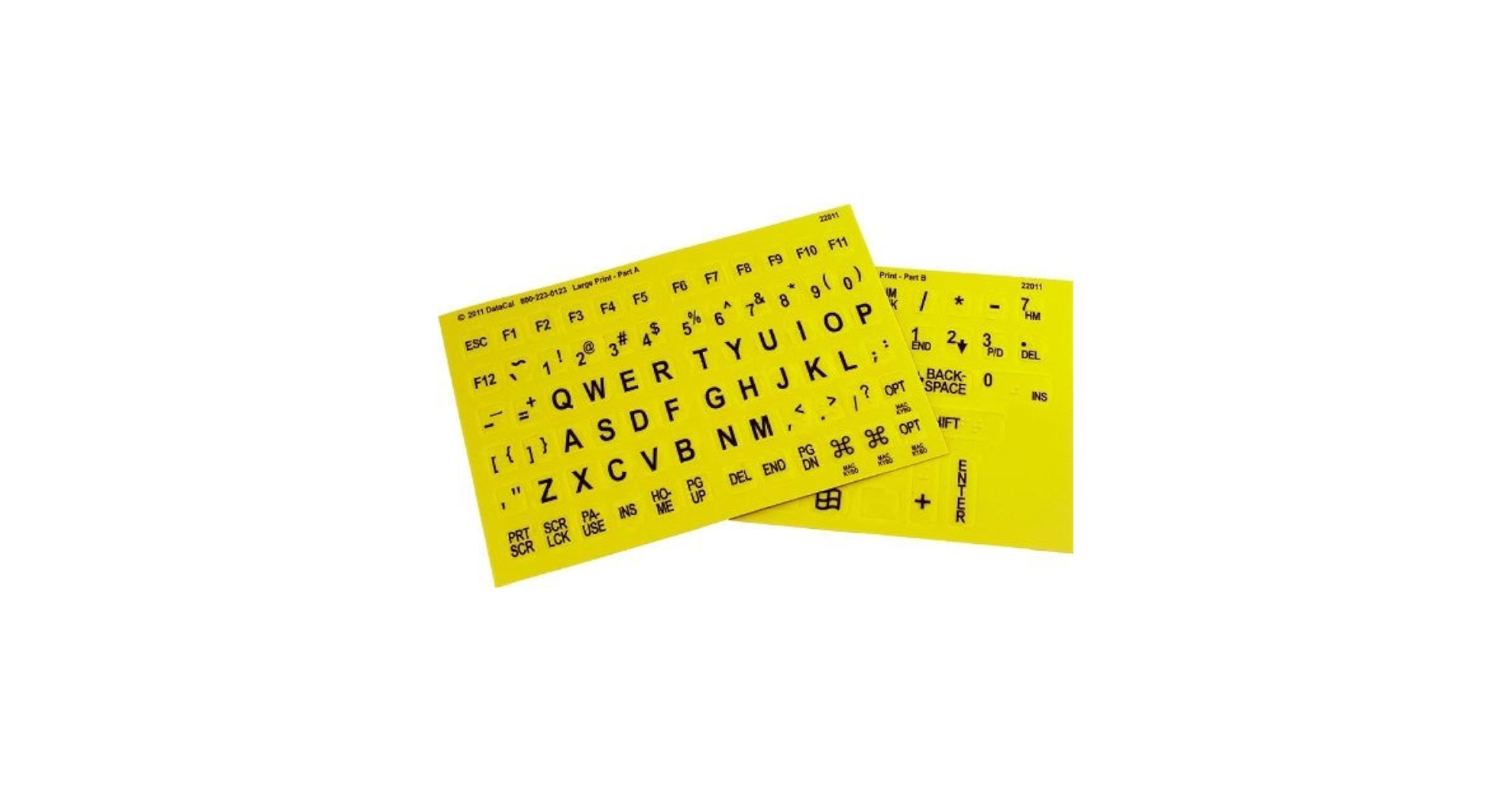 Braille and Large Print English Letters Computer